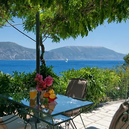 Villa Amaryllis House