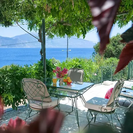 Villa Amaryllis House *