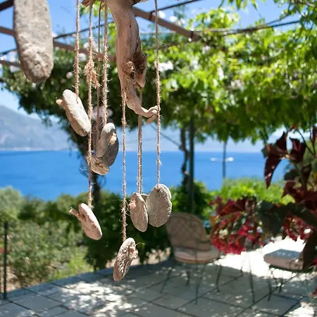 Amaryllis House Villa Fiszkárdo