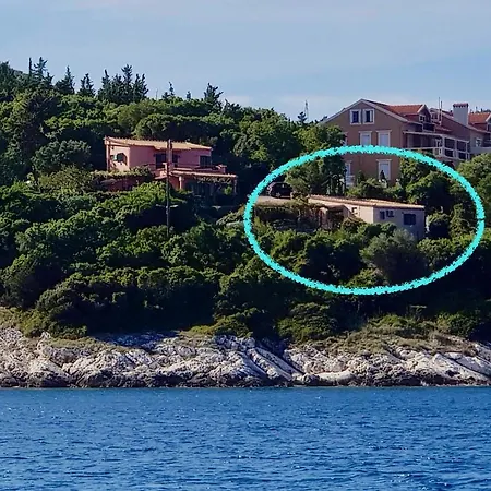 Amaryllis House * 费斯卡尔德宏