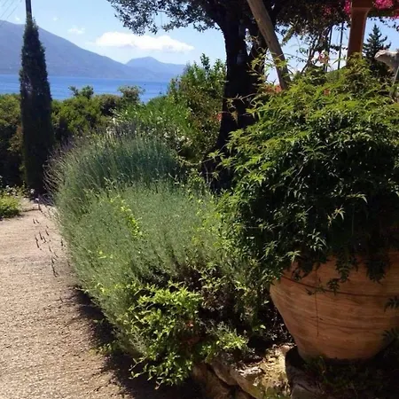 Amaryllis House 别墅