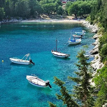 Amaryllis House 别墅 *